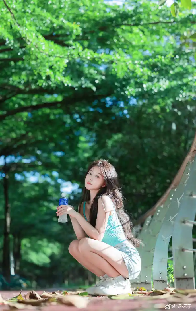 智能公交系统示意图